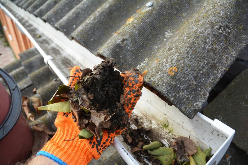 Commercial Gutter Maintenance in Roseville, CA