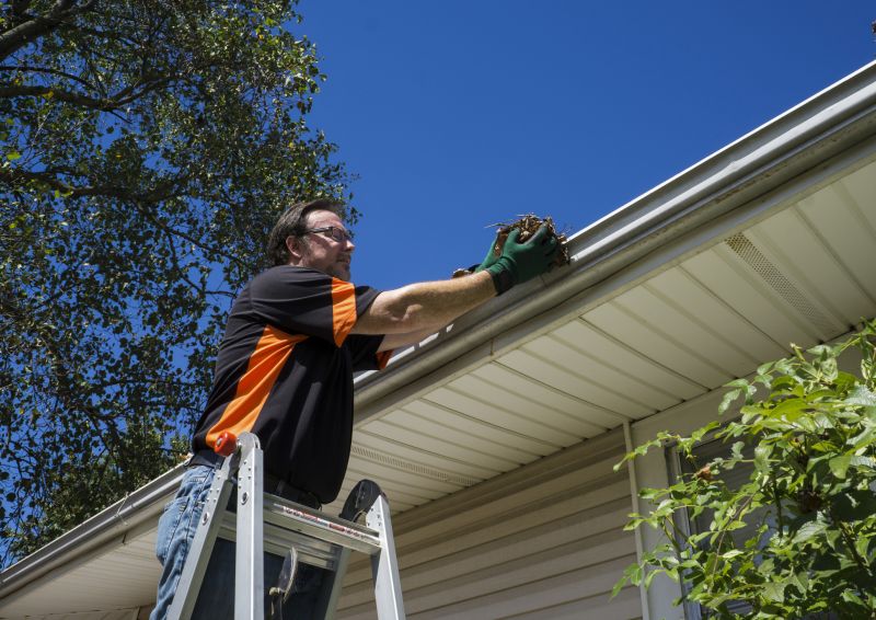 Gutter Leaves Removal