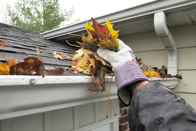 Eavestrough Clearing in Monmouth County, NJ